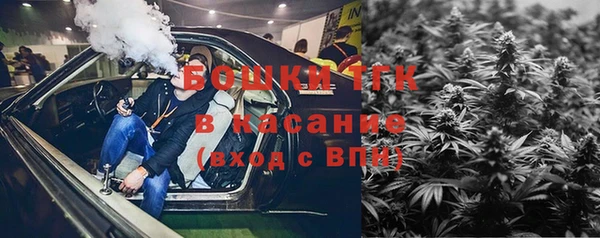 шишки Алапаевск