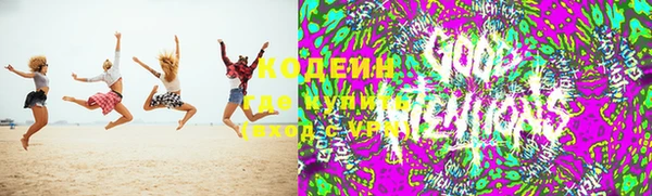 шишки Алагир