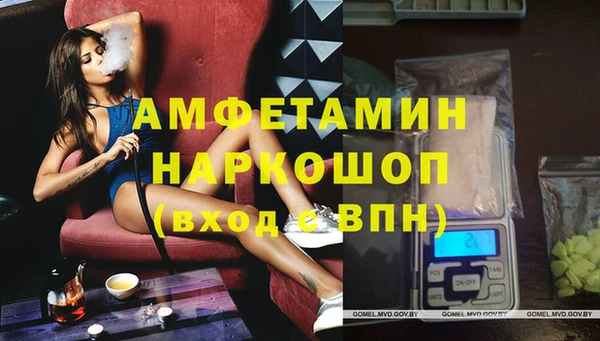 дмт Саки