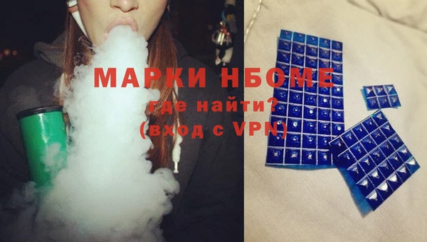 шишки Алагир