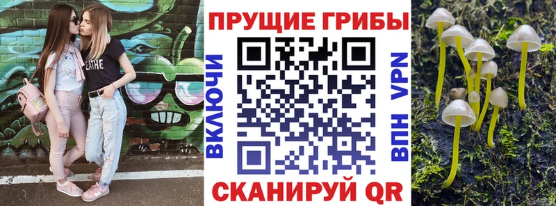 купить   Хотьково  Галлюциногенные грибы прущие грибы 